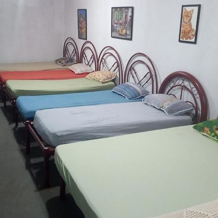 Hostel Santuario De Protecao Animal Filhos De Salomao Bragança Paulista Exterior foto